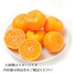 大分県または佐賀県などの国内産 あまいこつぶハウスみかん 1パック