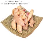 高知県などの国内産 新しょうが 150g入 1袋