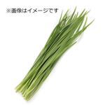 山形県などの国内産 ニラ 1袋