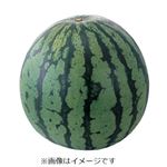 千葉県または新潟県などの国内産 すいか Mサイズ 1個
