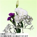 トルコキキョウブーケ 1束【置き楽配送指定不可】