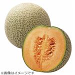 高知県などの国内産 赤肉メロン 化粧箱 1箱