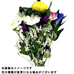 お供え花セット ピンポンマム 1束【置き楽配送指定不可】