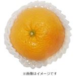 鹿児島県などの国内産 紅甘夏 1個