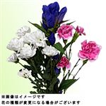 りんどうブーケ 1束【置き楽配送指定不可】