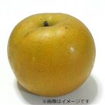 千葉県または茨城県などの国内産 なし（豊水）2Lサイズ 1個