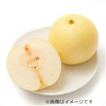 鳥取県などの国内産 なし（二十世紀）1個