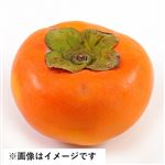 新潟県などの国内産 おけさ柿 1個