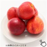 長野県などの国内産 ネクタリン 700g入 1パック