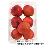 山梨県などの国内産 プラム（大石早生）500g入 1パック