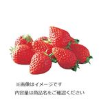 千葉県または栃木県などの国内産 いちご少量 5~6粒入 1パック