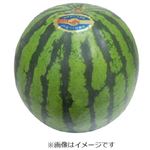 熊本県などの国内産 すいか  1個
