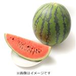 熊本県などの国内産 すいか  1個