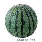 熊本県などの国内産 すいか 1個
