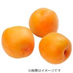 長野県などの国内産 あんず 500g入 1パック