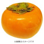 福岡県または奈良県などの国内産 富有柿 1個