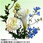 アーリーサマーブーケL 1束【14時以降の配送限定】【置き楽配送指定不可】【入荷状況によりお届け出来ない場合がございます】