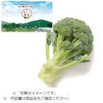 千葉県などの国内産 ブロッコリー 1個