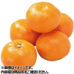 ペルーなどの国外産 みかん 460g入 1袋