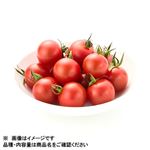 イオン農場 茨城県などの国内産 まるまる赤トマトミニ 150g入 1パック