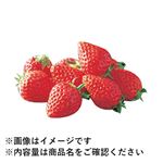 イオン農場 千葉県などの国内産 いちご 200g入 1パック