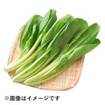 トップバリュ グリーンアイ オーガニック 千葉県などの国内産 こまつな 1袋