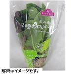 岡山県などの国内産 ロメインレタス 1袋