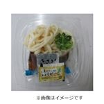 トップバリュ ちょいと冷しぶっかけうどん 1パック