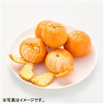 トップバリュ オーストラリアなどの国外産 手で皮がむけるオレンジ（ボリュームパック）1袋【9／19～9／20お渡し】