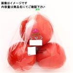 トップバリュ 減の恵み 熊本県などの国内産 トマト 500g入1袋