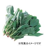 トップバリュ グリーンアイ オーガニック 茨城県などの国内産 ほうれん草 1袋