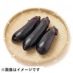 トップバリュ グリーンアイ オーガニック 山梨県などの国内産 なす 2～3本入 1袋