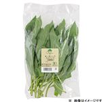 トップバリュ グリーンアイ オーガニック 山梨県などの国内産 モロヘイヤ 1袋