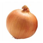 トップバリュ グリーンアイ オーガニック 茨城県などの国内産 たまねぎ 1個入 1袋