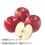 青森県などの国内産 わけありりんご袋（早生ふじ）1.2kg入 1袋