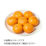 愛媛県などの国内産 みかん 7個入 1袋