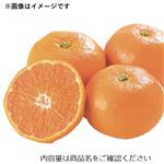 愛媛県などの国内産 みかん 6個入 1袋