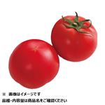北海道などの国内産 フルーツトマト（北の極）2個入 1パック