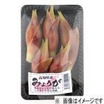 高知県などの国内産 みょうが 大パック 1パック