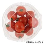 熊本県などの国内産 ミニトマト 少量 100g入 1袋