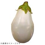 群馬県などの国内産 白なす 1本