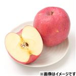 青森県などの国内産 りんご（早生ふじ）フィルム個包装1個