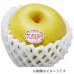 長野県などの国内産 なし（幸水）太鼓判 2個入 1パック