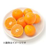 オーストラリアなどの国外産 手で皮がむけるオレンジ（中）1袋