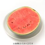 茨城県などの国内産 小玉すいか 1／2カット