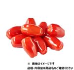 栃木県または宮崎県などの国内産 ミニトマト（レッドプラム）大パック 310g入 1パック