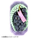 長野県などの国内産 ぶどう（ナガノパープル）450g入 1パック