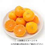 佐賀県などの国内産 ハウスみかん 270g入 1パック