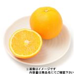 アメリカなどの国外産 ネーブルオレンジ 1袋