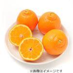 オーストラリアなどの国外産 ミネオラオレンジ 1パック